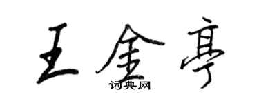 王正良王金亭行書個性簽名怎么寫