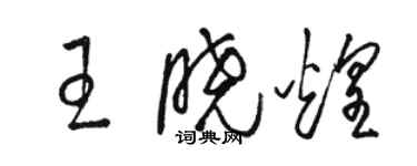 駱恆光王曉煌草書個性簽名怎么寫