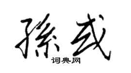 王正良孫或行書個性簽名怎么寫
