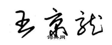 朱錫榮王京龍草書個性簽名怎么寫