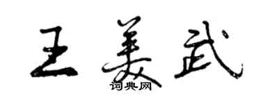 曾慶福王美武行書個性簽名怎么寫