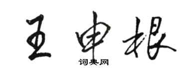 駱恆光王申根行書個性簽名怎么寫