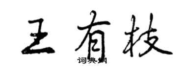 曾慶福王有枝行書個性簽名怎么寫