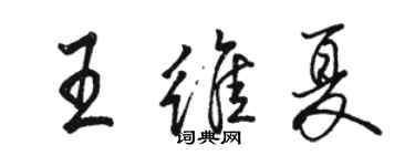 駱恆光王維夏行書個性簽名怎么寫