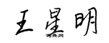 王正良王星明行書個性簽名怎么寫