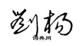 曾慶福劉楊草書個性簽名怎么寫
