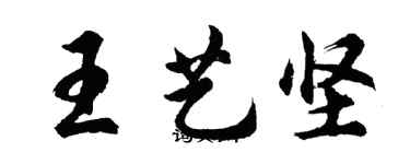 胡問遂王藝堅行書個性簽名怎么寫