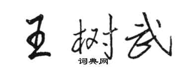駱恆光王樹武行書個性簽名怎么寫