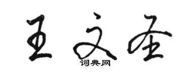 駱恆光王文聖行書個性簽名怎么寫