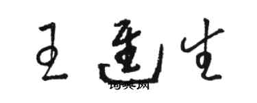 駱恆光王進生草書個性簽名怎么寫