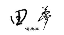 梁錦英田夢草書個性簽名怎么寫