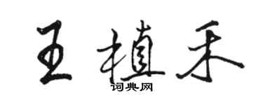 駱恆光王植禾行書個性簽名怎么寫