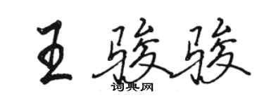 駱恆光王駿駿行書個性簽名怎么寫