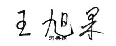 駱恆光王旭果草書個性簽名怎么寫