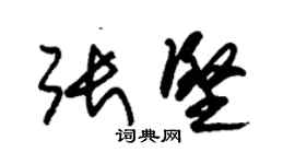 朱錫榮張堅草書個性簽名怎么寫