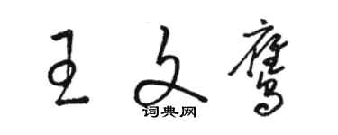 駱恆光王文鷹草書個性簽名怎么寫