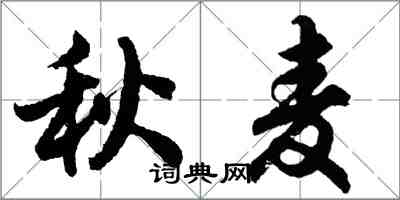 胡問遂秋麥行書怎么寫