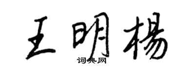 王正良王明楊行書個性簽名怎么寫