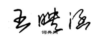 朱錫榮王映涵草書個性簽名怎么寫