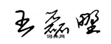 朱錫榮王磊野草書個性簽名怎么寫