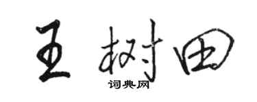 駱恆光王樹田行書個性簽名怎么寫