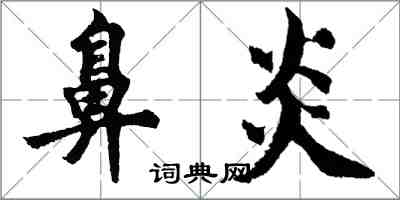 胡問遂鼻炎行書怎么寫