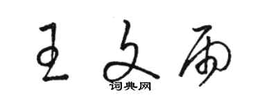 駱恆光王文雨草書個性簽名怎么寫