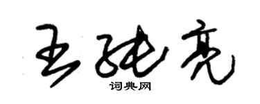 朱錫榮王純亮草書個性簽名怎么寫