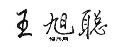 駱恆光王旭聰行書個性簽名怎么寫