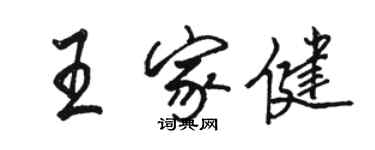 駱恆光王家健行書個性簽名怎么寫