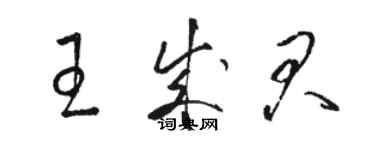 駱恆光王成君草書個性簽名怎么寫