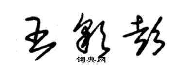 朱錫榮王彩彭草書個性簽名怎么寫