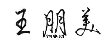 駱恆光王朋美行書個性簽名怎么寫