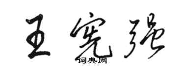 駱恆光王憲強行書個性簽名怎么寫