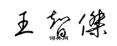 梁錦英王智傑草書個性簽名怎么寫