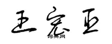 曾慶福王宏臣草書個性簽名怎么寫