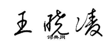 梁錦英王曉凌草書個性簽名怎么寫