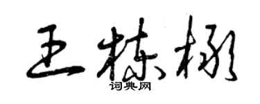 曾慶福王棟橄草書個性簽名怎么寫