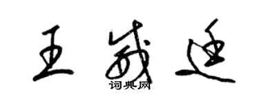 梁錦英王威廷草書個性簽名怎么寫