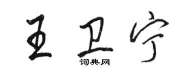 駱恆光王衛寧行書個性簽名怎么寫