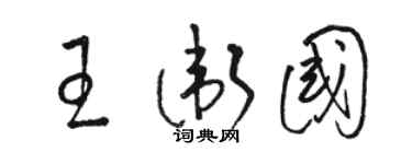 駱恆光王衛國草書個性簽名怎么寫