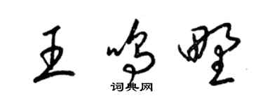 梁錦英王鳴野草書個性簽名怎么寫