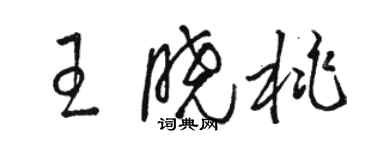 駱恆光王曉桃草書個性簽名怎么寫