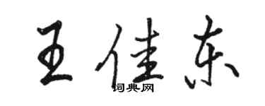 駱恆光王佳東行書個性簽名怎么寫