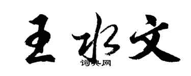 胡問遂王水文行書個性簽名怎么寫