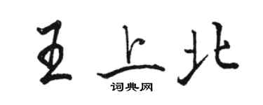 駱恆光王上北行書個性簽名怎么寫