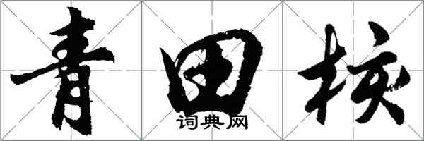 胡問遂青田核行書怎么寫