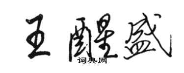 駱恆光王醒盛行書個性簽名怎么寫