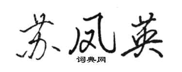 駱恆光蘇鳳英行書個性簽名怎么寫