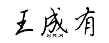 王正良王成有行書個性簽名怎么寫